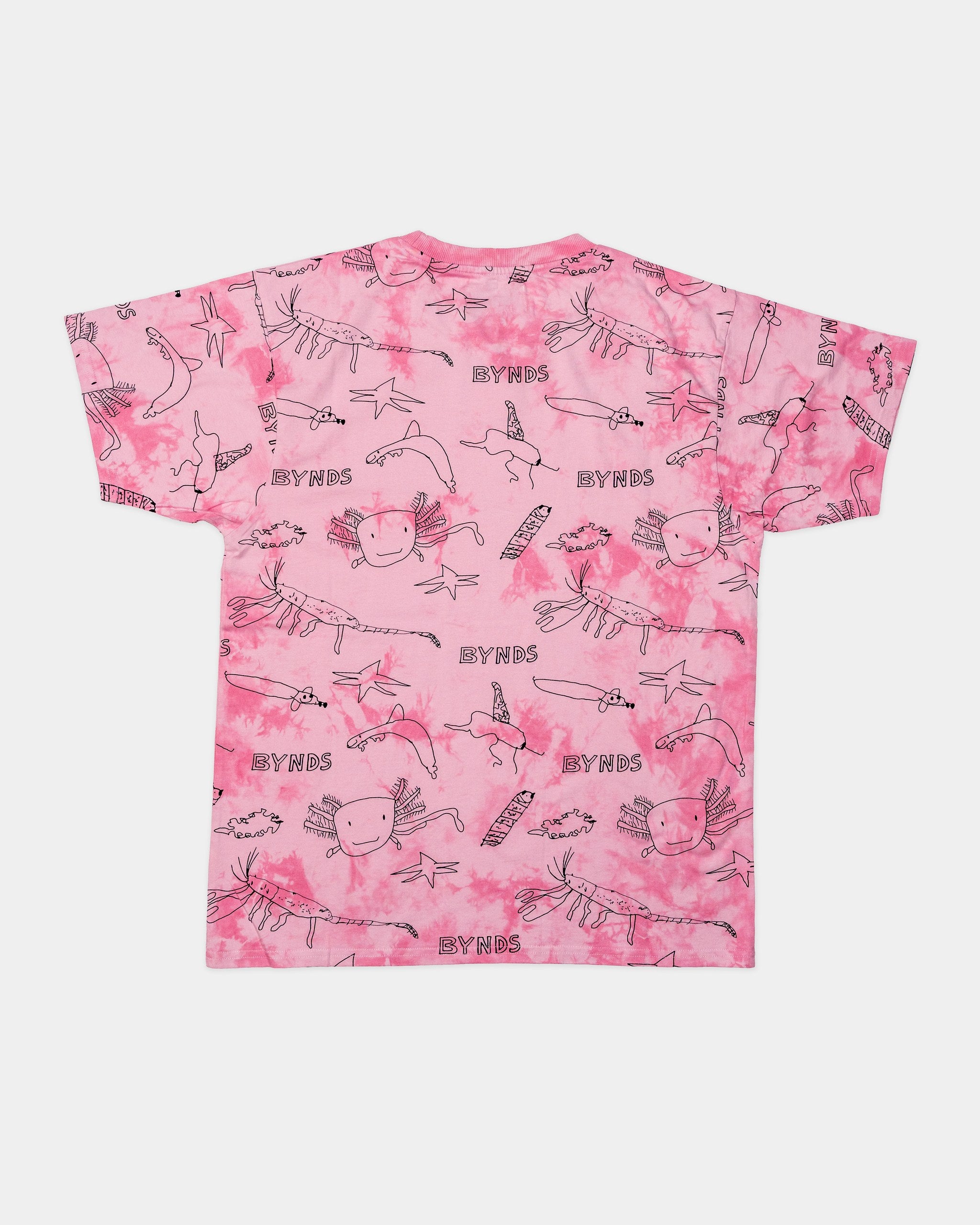 BYNDS · into-the-pink-clouds-tshirt-tie-dye · back