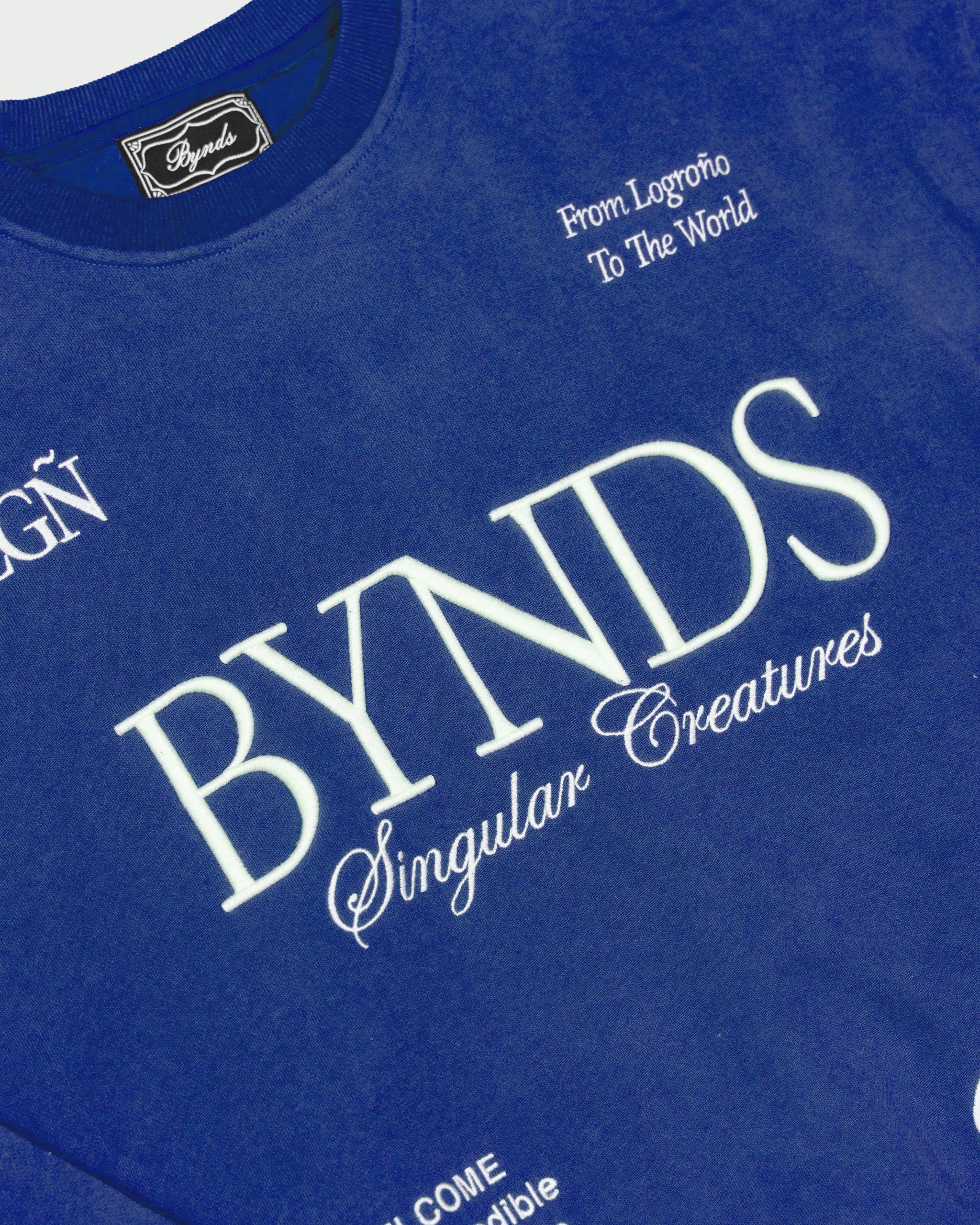 BYNDS · mansilla-sky-sweatshirt · detail