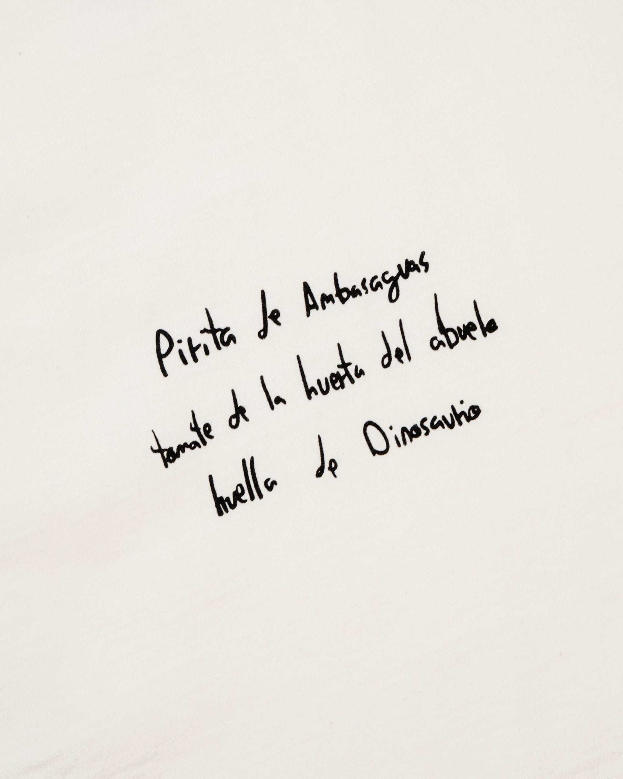 BYNDS · bynds-ambasaguas-tshirt · detail