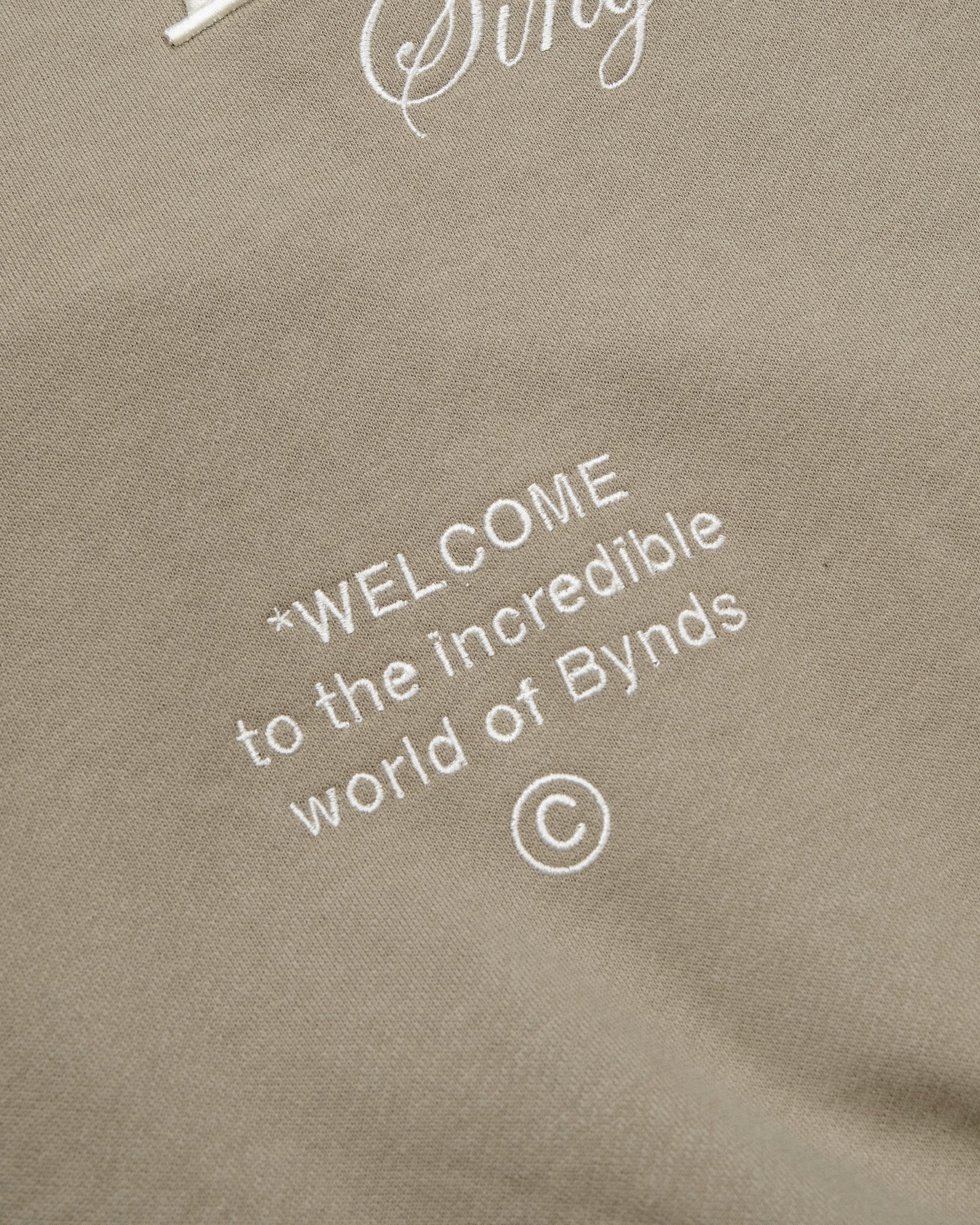 BYNDS · mansilla-earth-sweatshirt · detail